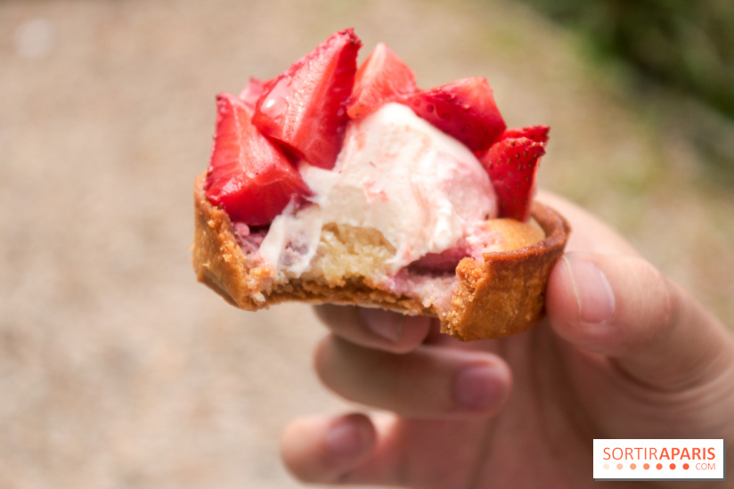 Les glaces des belles envies