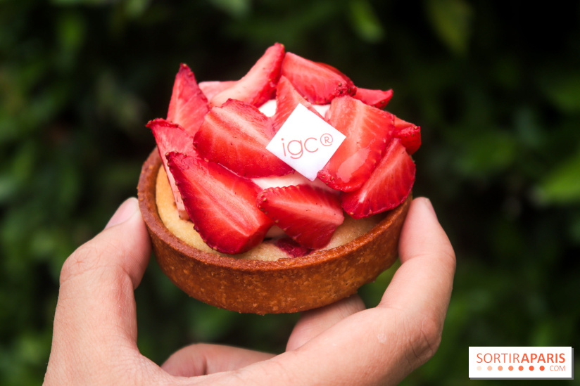 Les glaces des belles envies