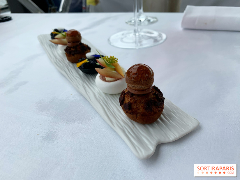 Oiseau Blanc Peninsula