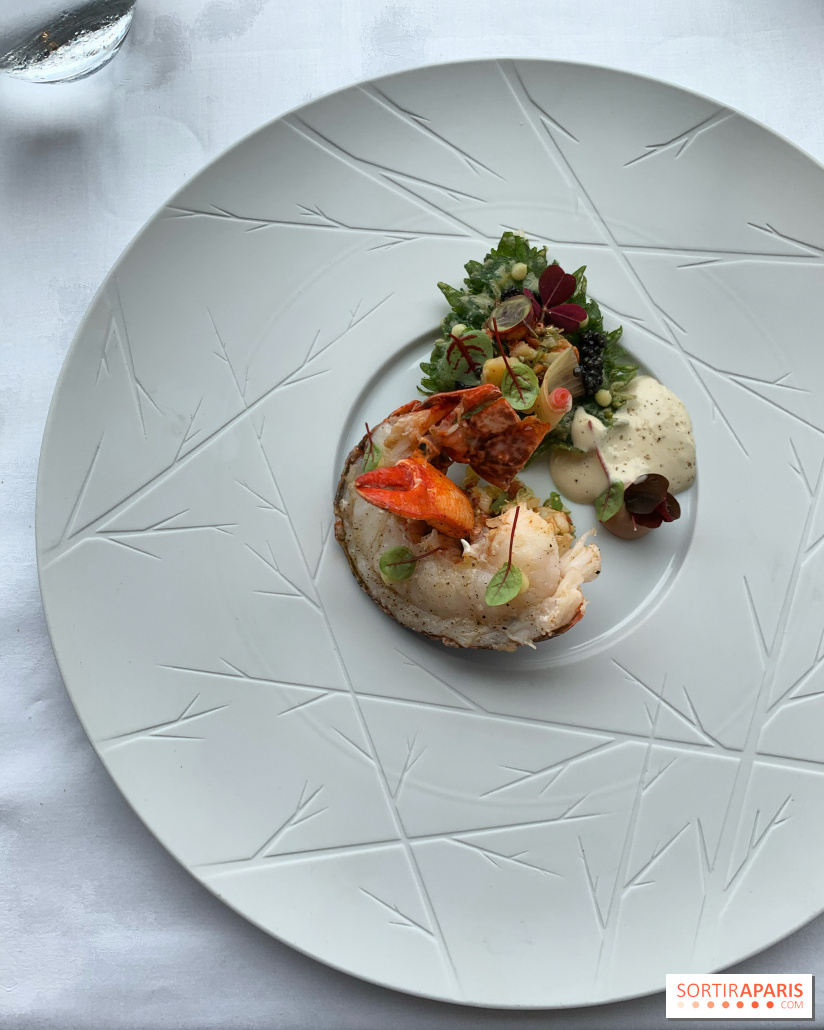 Oiseau Blanc Peninsula