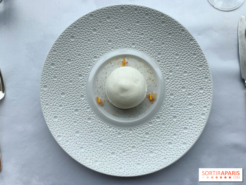 Oiseau Blanc Peninsula