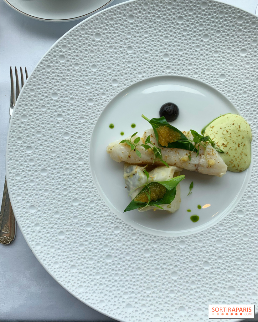 Oiseau Blanc Peninsula