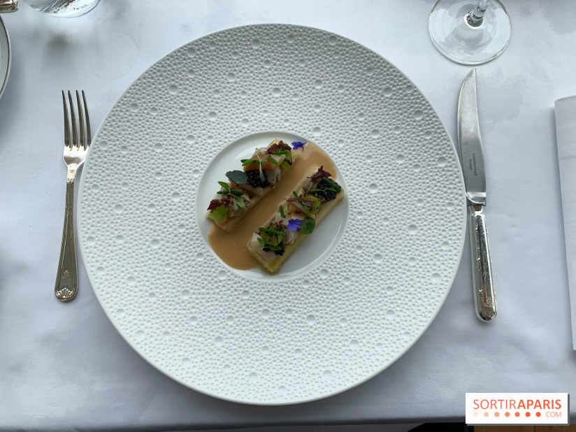 Oiseau Blanc Peninsula