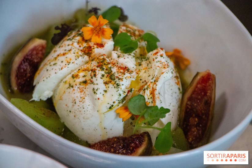 Sapid, la table à manger Naturaliste d'Alan Ducasse : nos photos