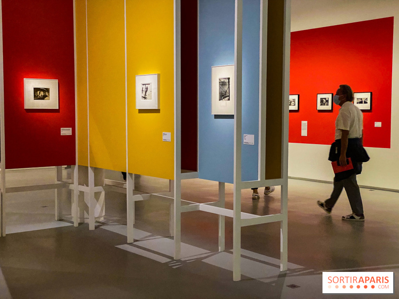 Les chefs-œuvre du MOMA au Jeu de Paume