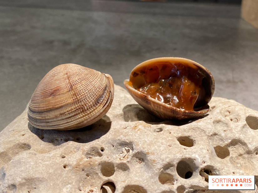 FIEF, le restaurant locavore du finaliste de Top Chef Victor Mercier