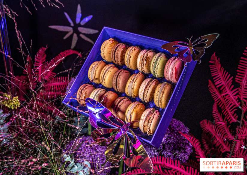 Bûches de Noël de Pierre Hermé 2021 et galettes 2022