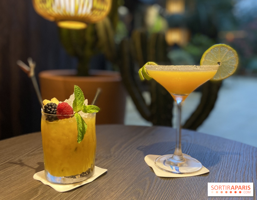 Oceania et sa terrasse en mode jardin méditerranéen à Paris