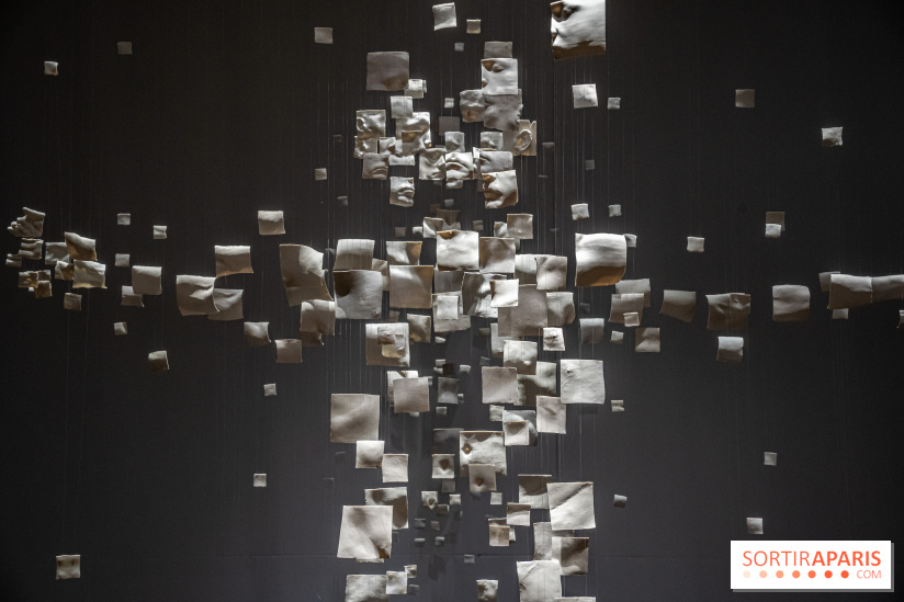 Exposition Aux frontières de l'humain au Musée de l'Homme