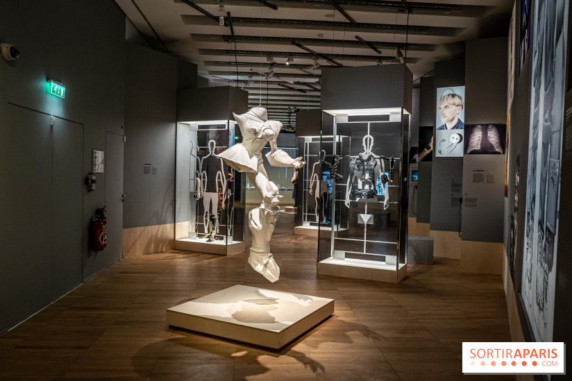 Exposition Aux frontières de l'humain au Musée de l'Homme