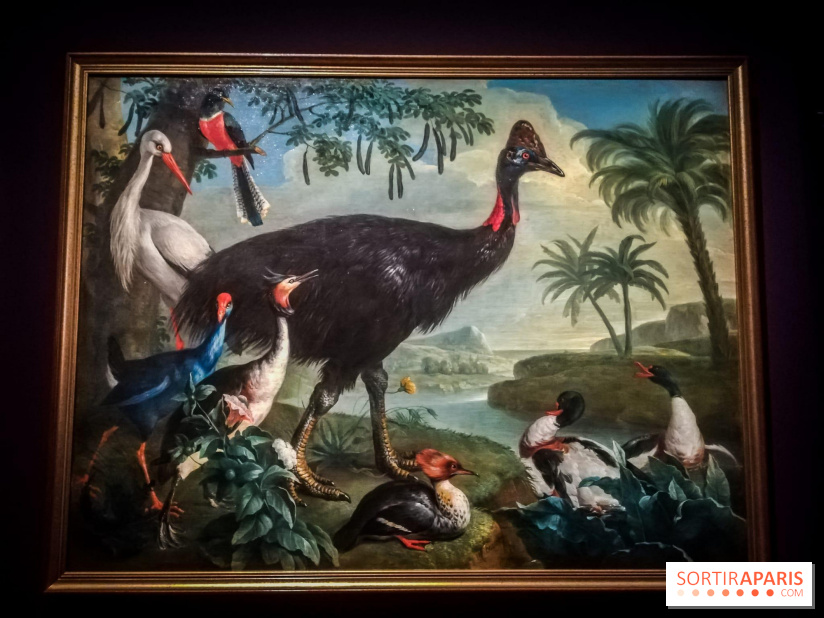 Les animaux du Roi, une exposition qui a du chien au Château de Versailles - nos photos