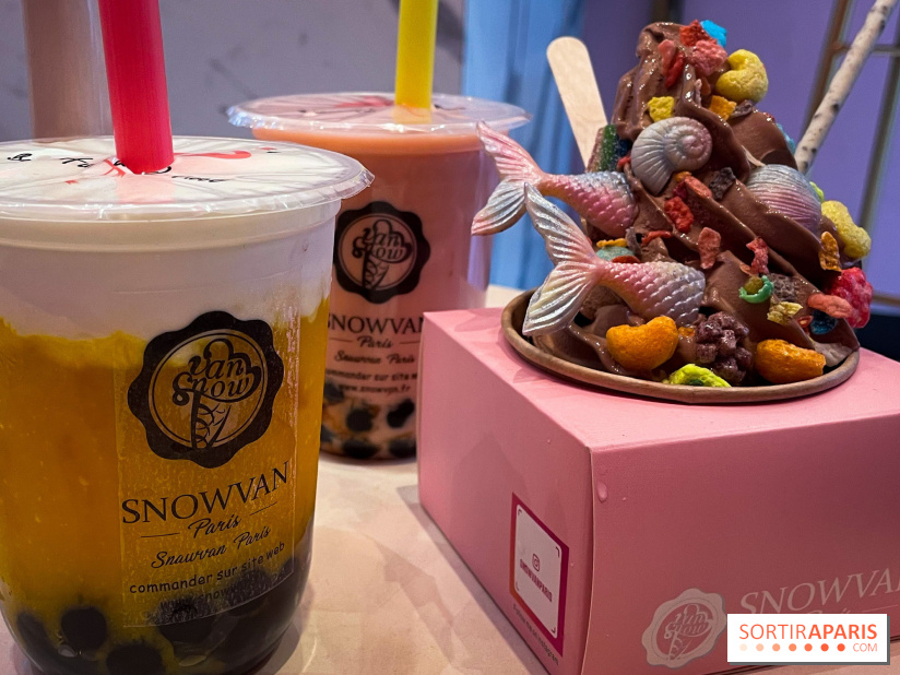 Snowvan, le spot aux bubble tea et glaces insolites