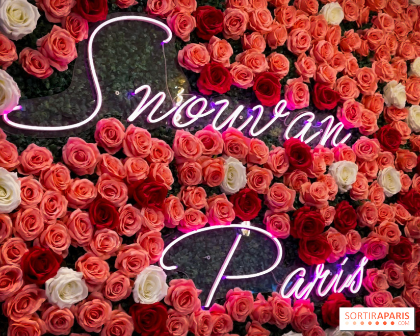 Snowvan, le spot aux bubble tea et glaces insolites