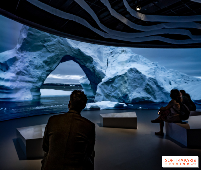 Photos : Odyssée sensorielle, l’expo immersive au Museum 