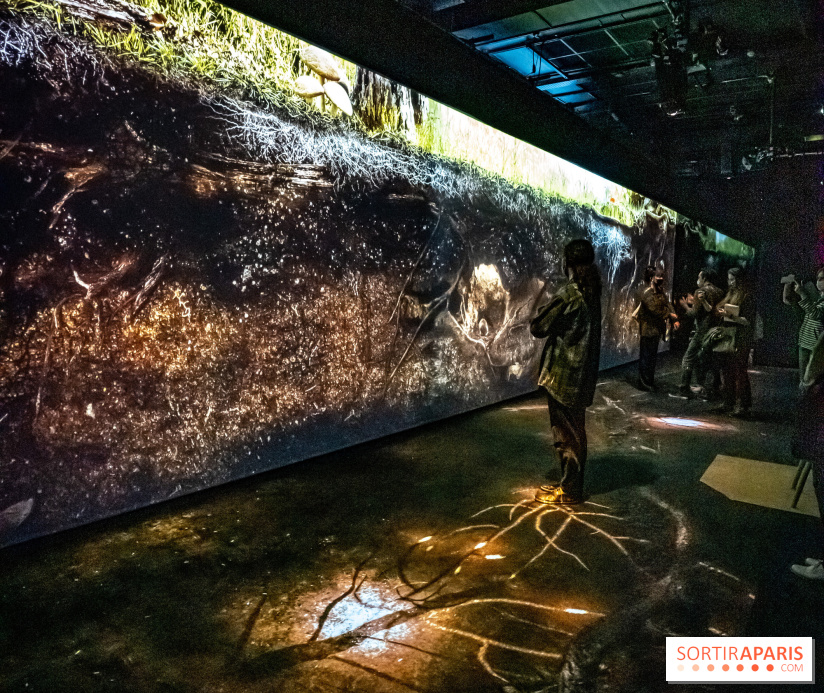 Photos : Odyssée sensorielle, l’expo immersive au Museum 