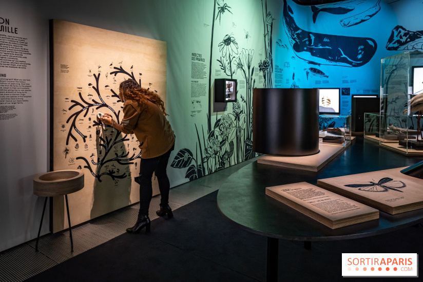 Photos : Odyssée sensorielle, l’expo immersive au Museum 