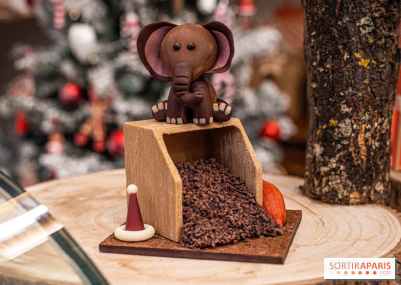 La Bûche de Noël de la Reine Astrid au mucilage