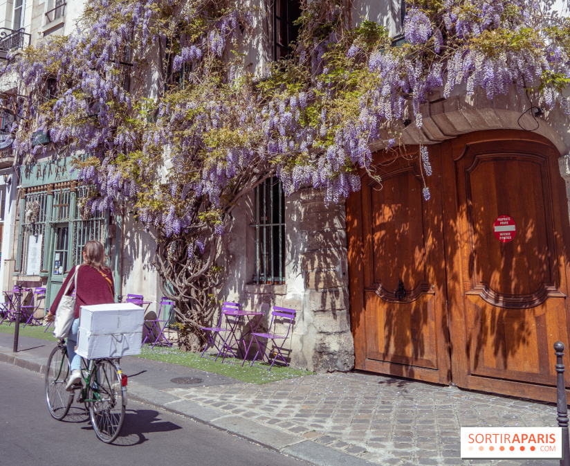Les cafés fleuris de Paris