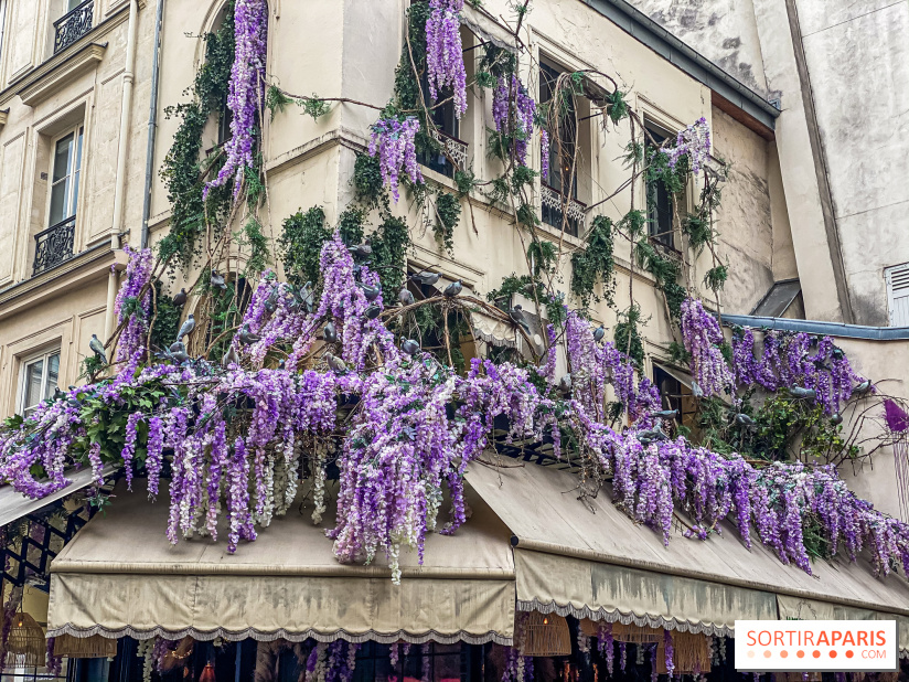 Les cafés fleuris de Paris