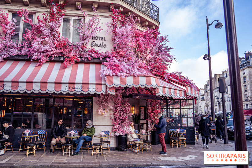 Les cafés fleuris de Paris