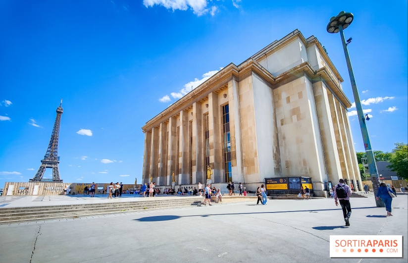 Visuels musée et monument musée de l'homme tour eiffel