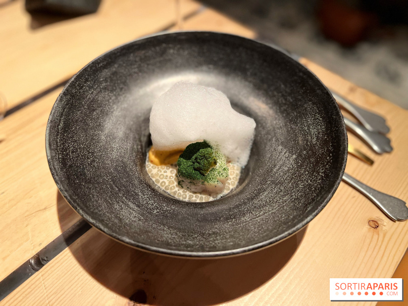 Adrien Cachot - Perchoir Ménilmontant