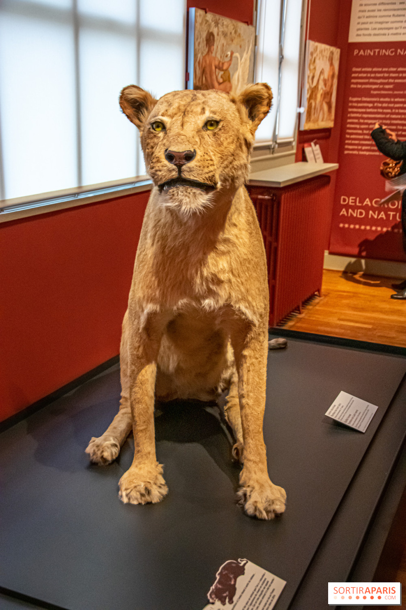 Delacroix et la nature, nos photos de l'exposition au musée Delacroix