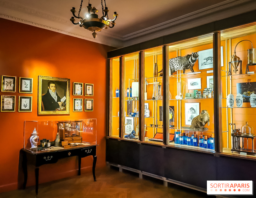 Le Musée du Parfum Fragonard : un trésor méconnu à deux pas du Palais Garnier