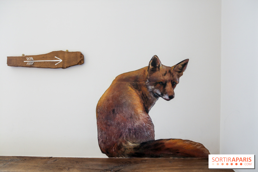 Incursions sauvages, nos photos