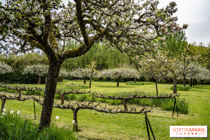 Le Château de Saint-Jean de Beauregard et son Jardin remarquable