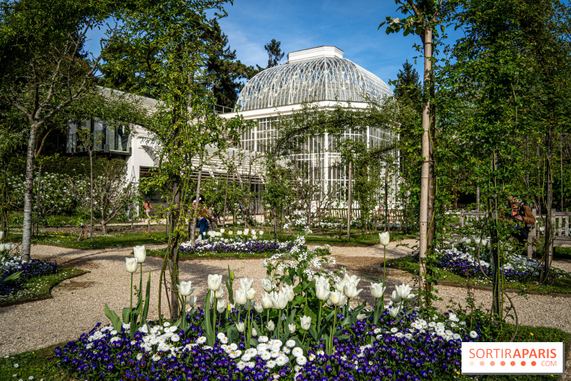 Les jardins du Musée Albert Kahn, nos photos 