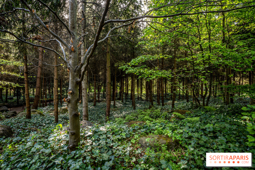 Les jardins du Musée Albert Kahn, nos photos 