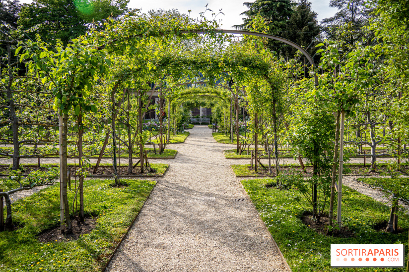 Les jardins du Musée Albert Kahn, nos photos 