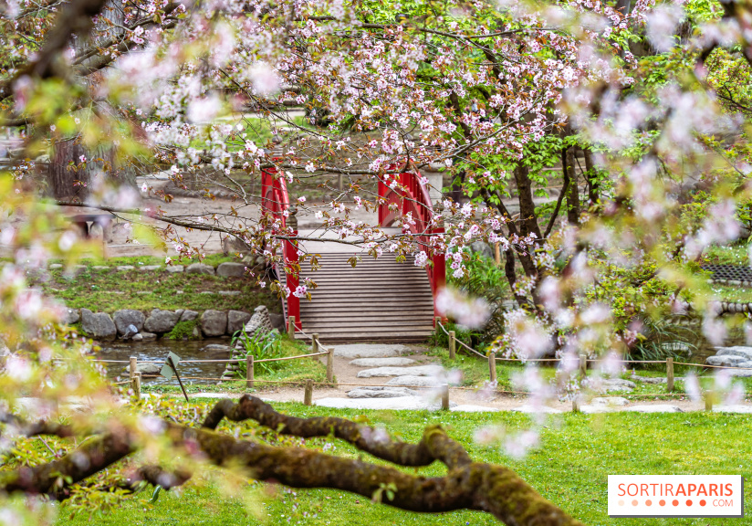 Les jardins du Musée Albert Kahn, nos photos  -  A7C8879 HDR