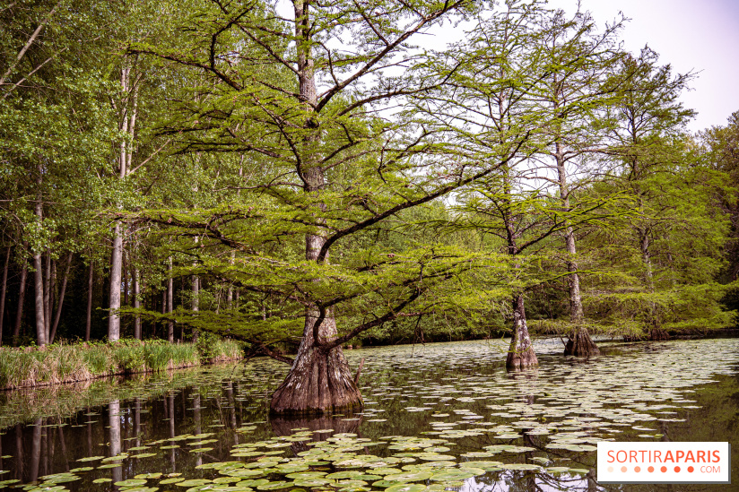 Photos : Château de Cheverny