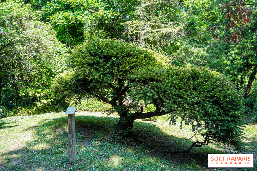 Le jardin japonais du Parc de Boulogne Edmond de Rothschild