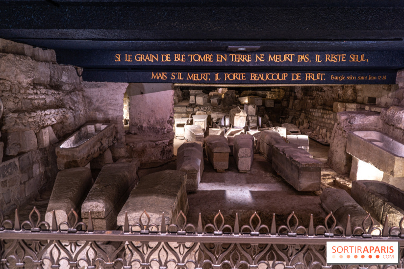 La Basilique Saint-Denis et sa nécropole royale -  A7C0695
