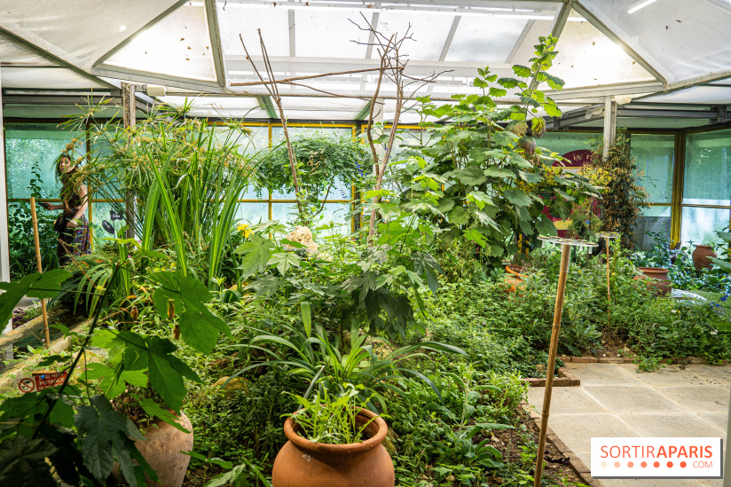 La Serre aux Papillons du Parc Floral 