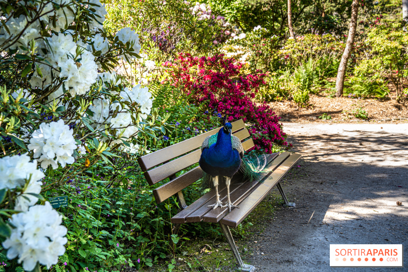 Le Parc Floral en photos 