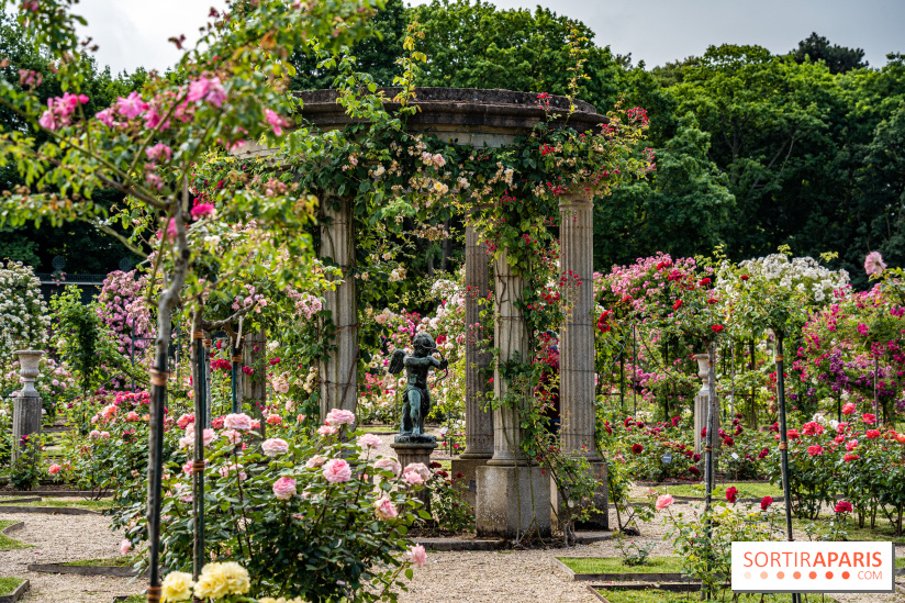 Photos : La Roseraie du val-de-Marne