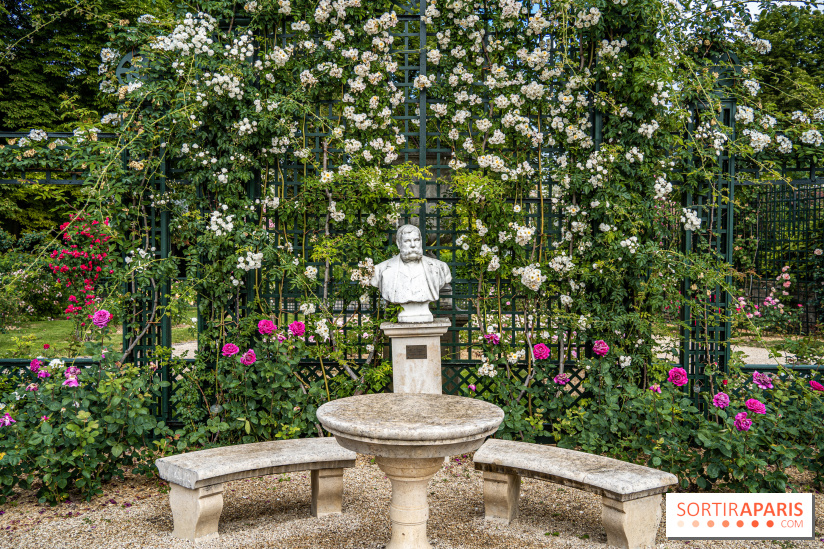 Photos : La Roseraie du val-de-Marne