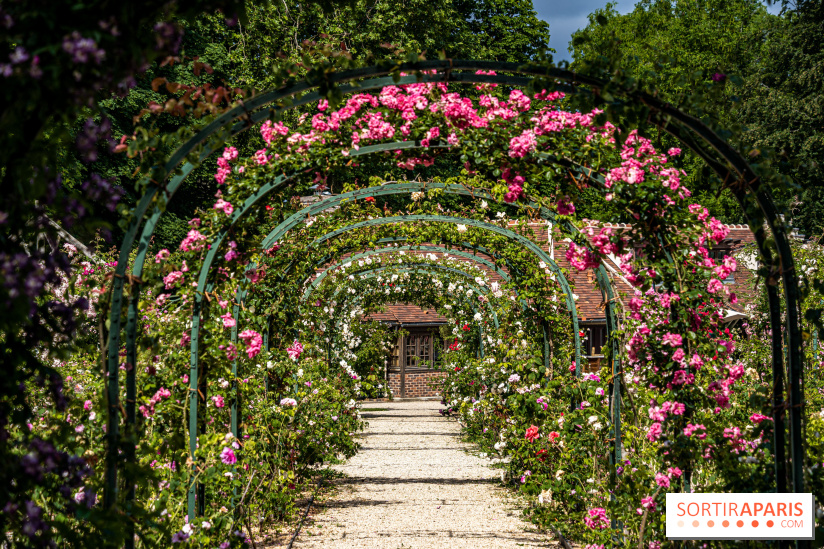 Photos : La Roseraie du val-de-Marne