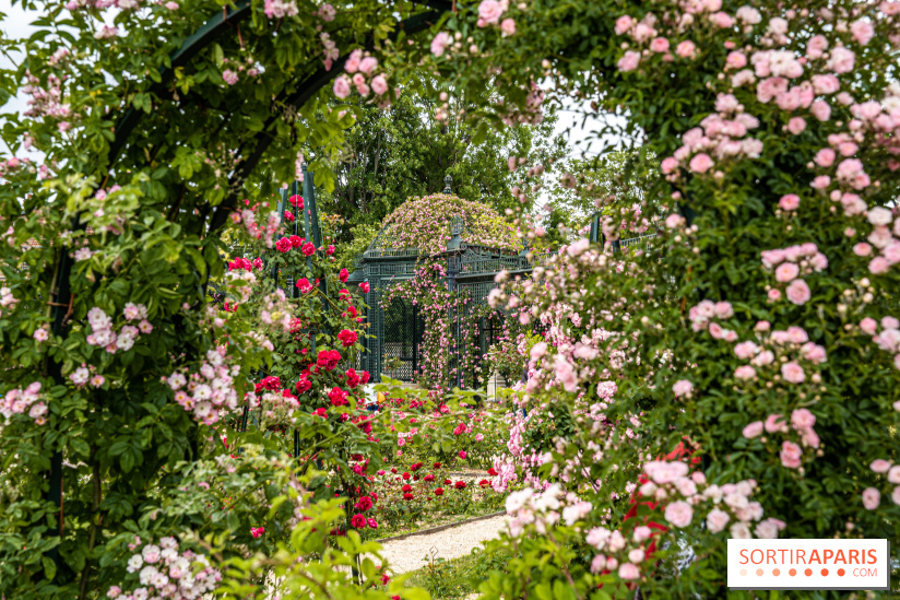 Photos : La Roseraie du val-de-Marne