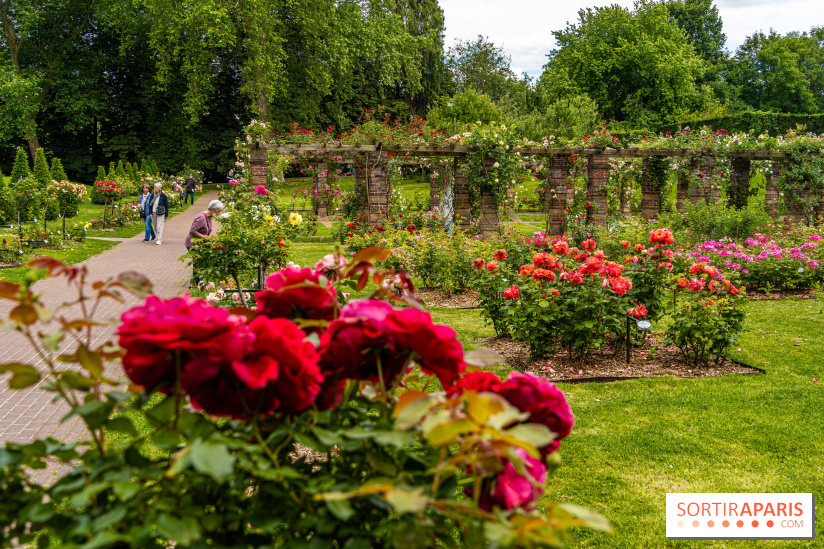 La Roseraie du Parc Lebaudy sur l'Ile de Puteaux