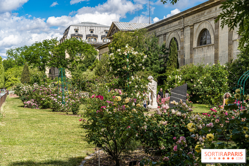 Photos La roseraie du Jardin des Plantes 
