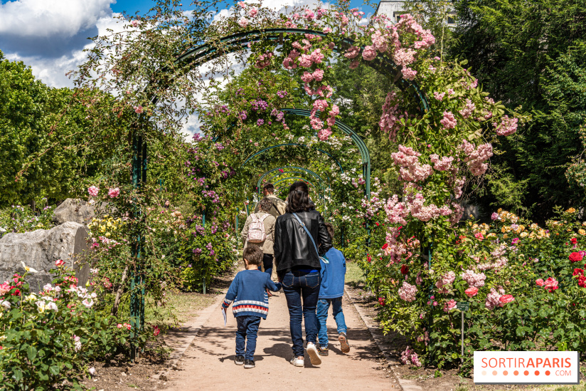 Photos La roseraie du Jardin des Plantes 