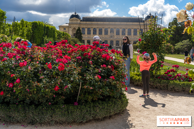 Photos La roseraie du Jardin des Plantes 