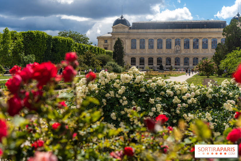 Photos La roseraie du Jardin des Plantes 