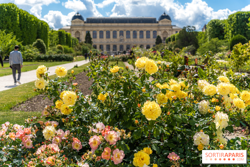 Photos La roseraie du Jardin des Plantes 