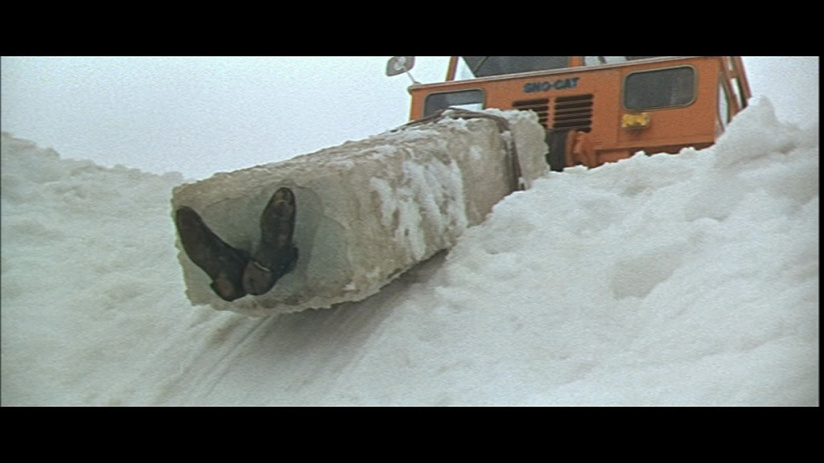 Canicule : 5 films à (re)voir pour se rafraîchir 